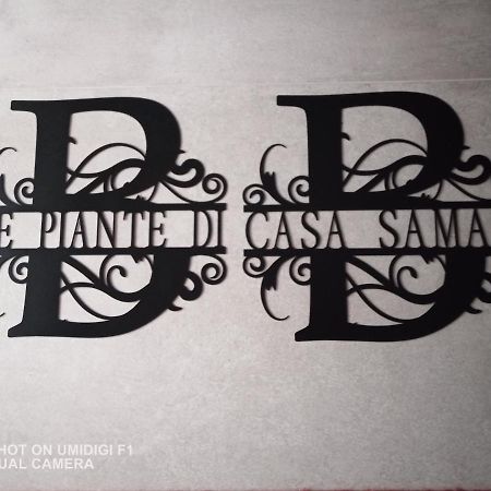 Bed and Breakfast Le Piante Di Casa Samar Castelguelfo Exterior foto
