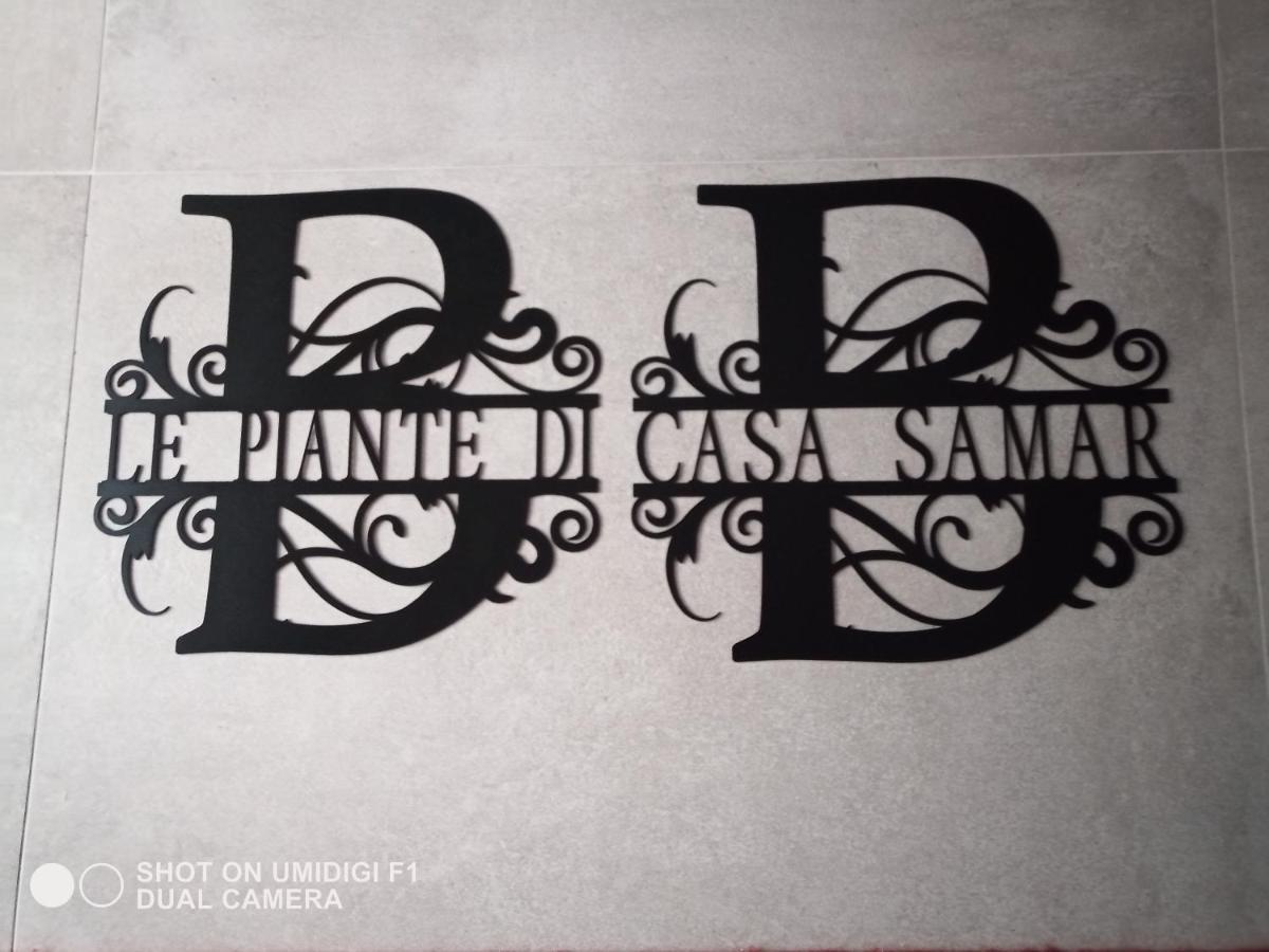 Bed and Breakfast Le Piante Di Casa Samar Castelguelfo Exterior foto