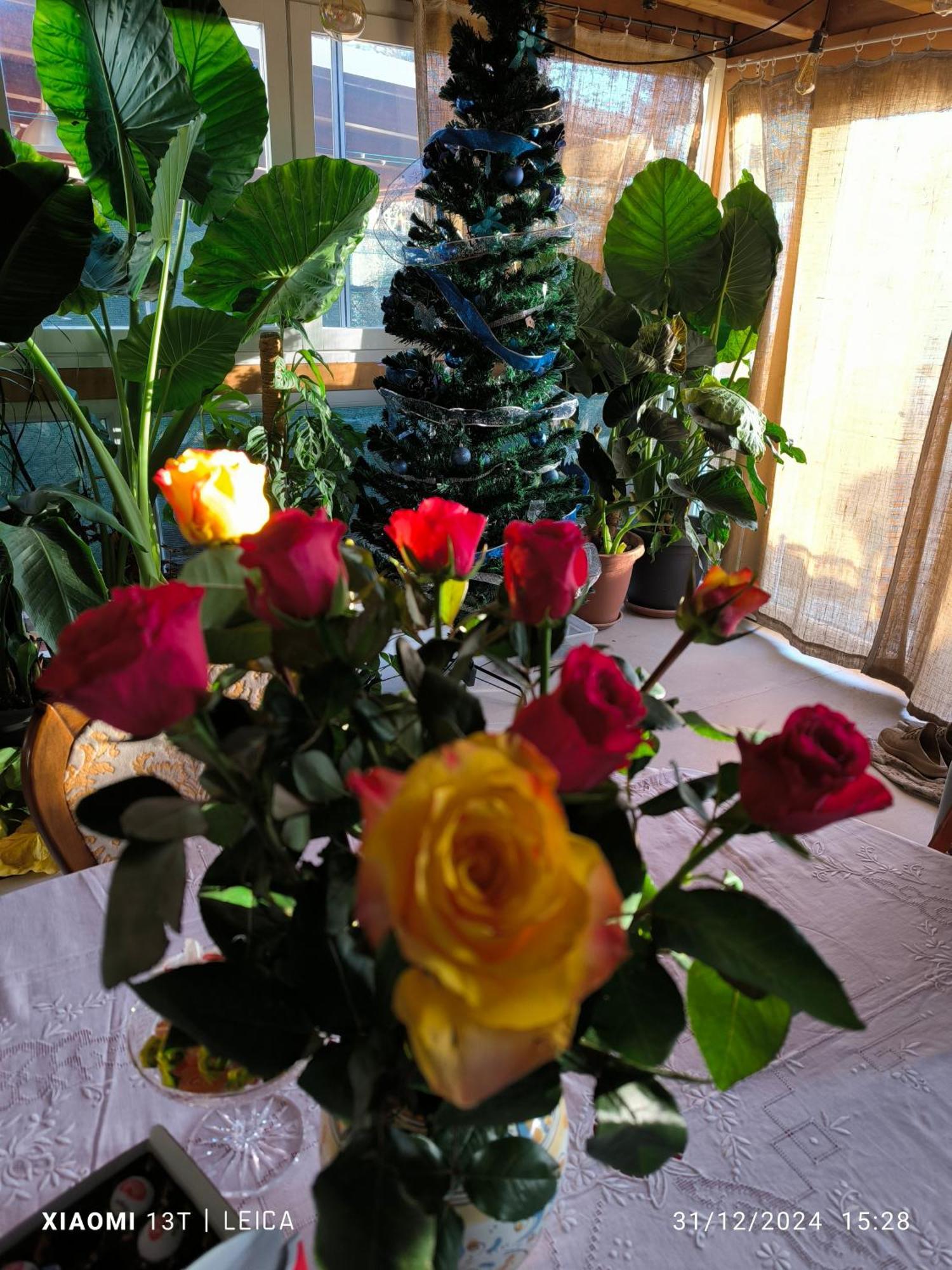Bed and Breakfast Le Piante Di Casa Samar Castelguelfo Exterior foto